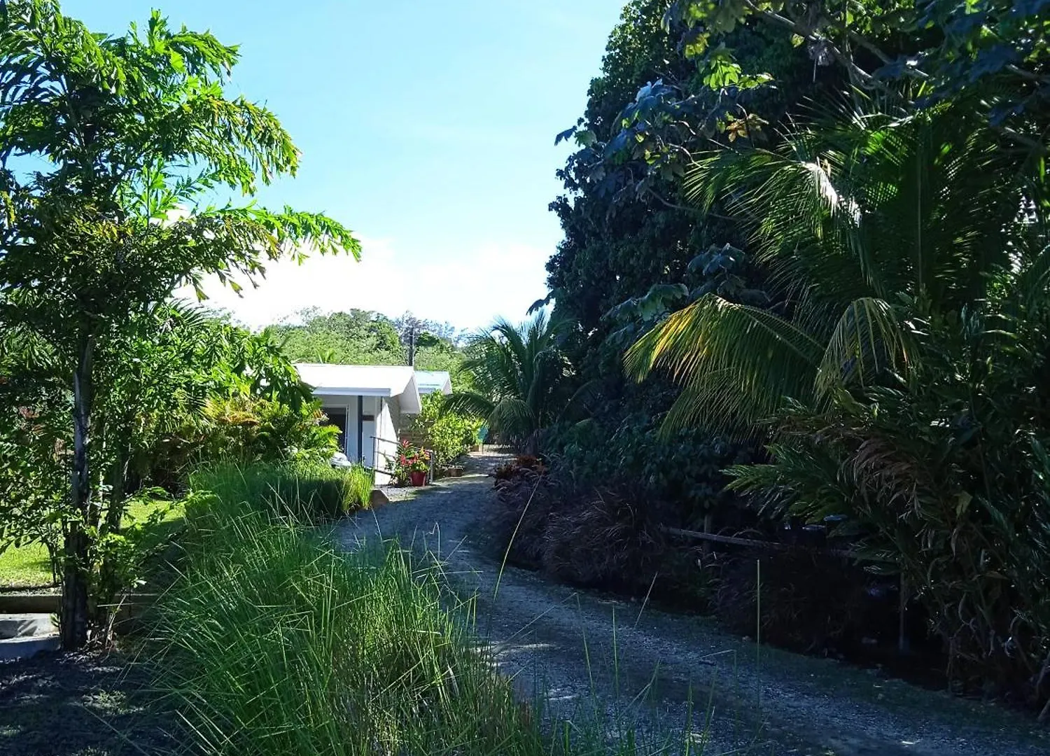 Dadi'S Little Paradis Sainte-Rose Guadeloupe