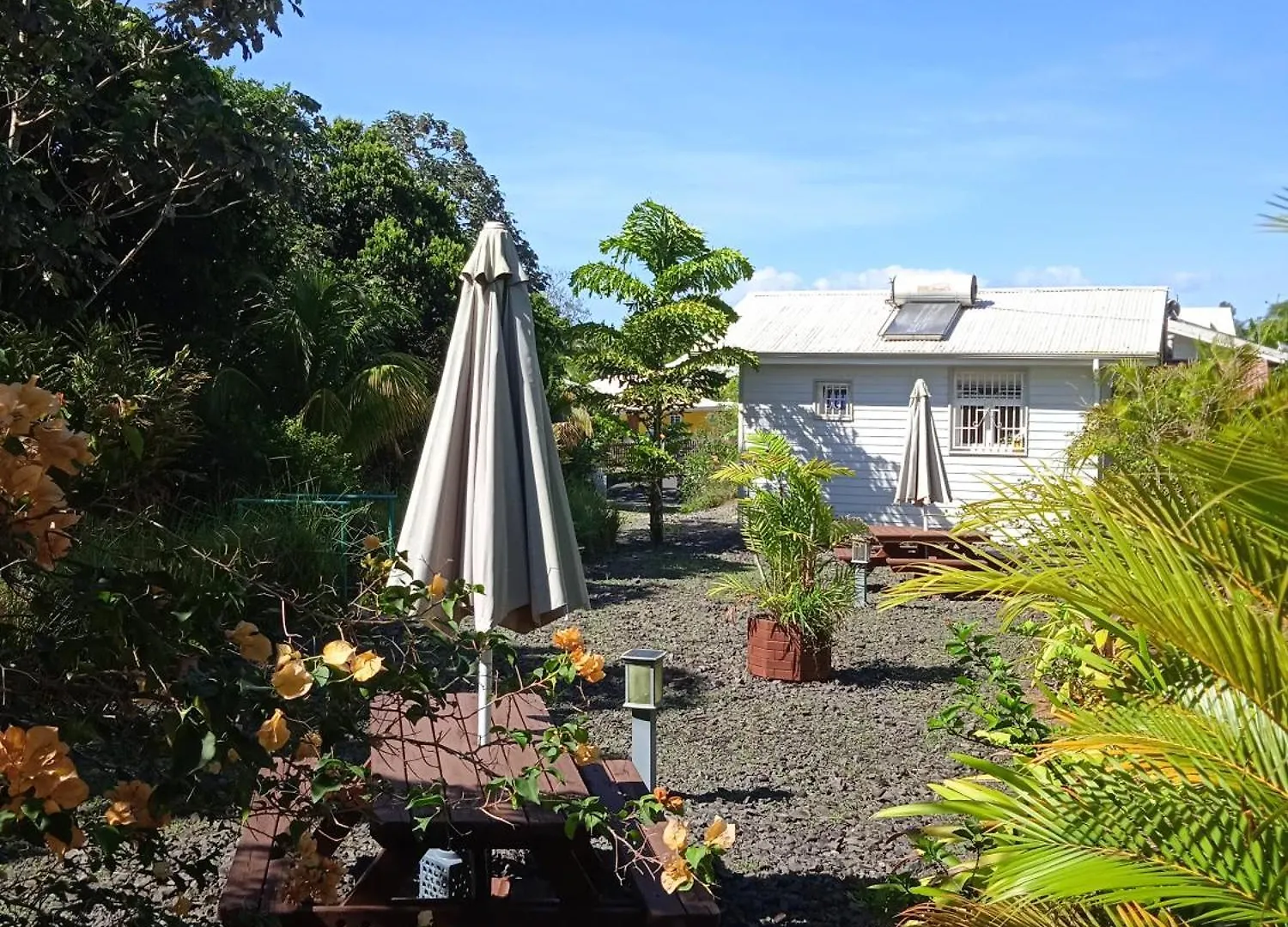 Dadi'S Little Paradis Sainte-Rose 0*,
